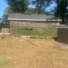 Bush Trimming by Warren B Landscaping and Construction LLC reviewed on August 16, 2025