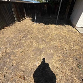 Leaf Removal by LI LawnCare reviewed on September 6, 2025