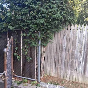 Bush Trimming by All Terrain Lawn Services reviewed on August 21, 2026