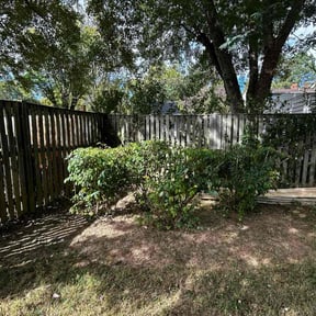 Bush Trimming by Green T&#039;s Lawn &amp; Landscape reviewed on November 9, 2025