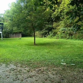 Bush Trimming by Scott's Landscaping And Pool Service reviewed on August 24, 2026
