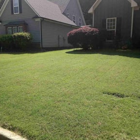 gardening service by Rios Enterprise Lawn Mowing Services LLC reviewed on August 17, 2025