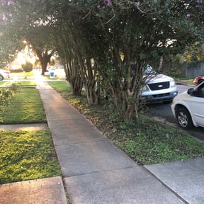 Bush Trimming by Yard Love and Care Inc reviewed on August 18, 2025