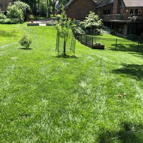 lawn service by Bruce Lawson reviewed on July 23, 2025