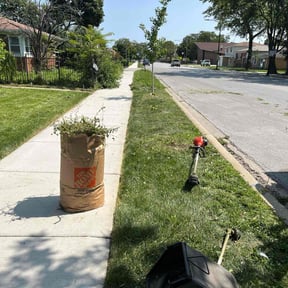 Bush Trimming by Lawn Bee'z reviewed on August 18, 2025