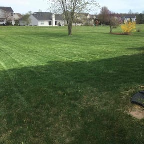 landscaping by Rich Evergreen Mindful Lawn Care reviewed on August 21, 2025