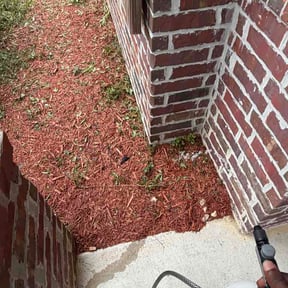Flower Bed Weeding by Jte lawncare reviewed on May 13, 2026