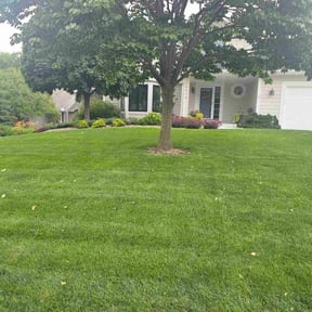yard work by MZ Lawn Services reviewed on August 16, 2025