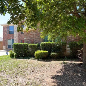 Bush Trimming by Osell Lawn Care LLC reviewed on November 27, 2025