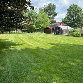 grass maintenance by In Between The Lines LLC reviewed on May 30, 2025
