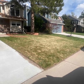 Leaf Removal by D+j painting and pressure washing and lawn care reviewed on August 17, 2025
