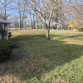 Leaf Removal by Greeley Greenscapes reviewed on September 10, 2025