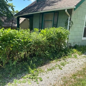 Bush Trimming by Jones and Sons Lawn Services reviewed on August 15, 2025
