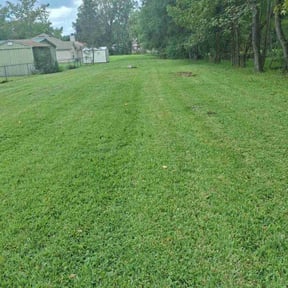 lawn care services by Jr Scapes and Land Services reviewed on November 9, 2017