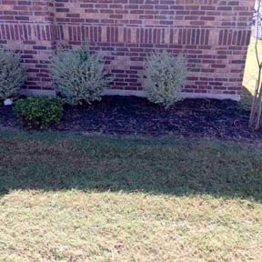 Flower Bed Weeding by Elenas Lawn Care LLC reviewed on July 24, 2025