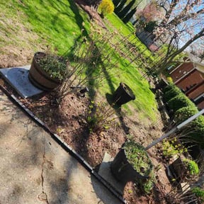 Leaf Removal by Creative Landscape  Design reviewed on September 19, 2025