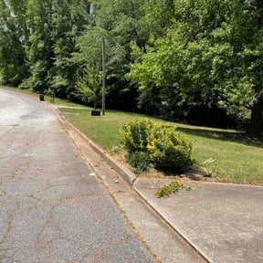 Bush Trimming by A Closer Look Residential Inspections LLC reviewed on August 21, 2025