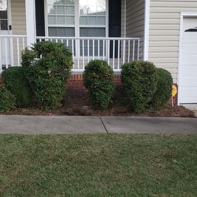 Bush Trimming by Fat Cat Landscaping reviewed on August 17, 2025