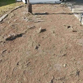 Flower Bed Weeding by Leon Landscaping reviewed on May 26, 2026