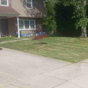 lawn care services by Dustin Alexander reviewed on June 11, 2023