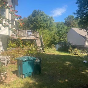 Bush Trimming by Rjm reviewed on October 23, 2025