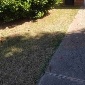 Leaf Removal by We Go Kc Lawn and Snow reviewed on November 8, 2025