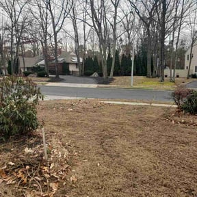 Leaf Removal by Smith's Care reviewed on October 2, 2025