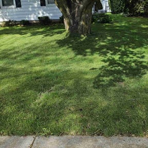 gardening service by Charleston Green Team LLC. reviewed on August 21, 2025