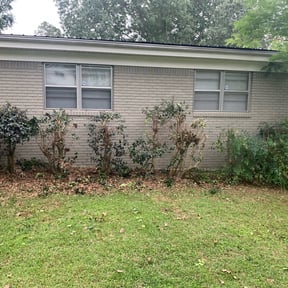 Bush Trimming by Ethan lawn care reviewed on August 17, 2025