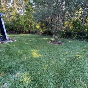 landscaping by Speedy Lawnmower Landscaping reviewed on August 15, 2025