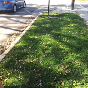 Leaf Removal by We Mow Omaha reviewed on September 26, 2025