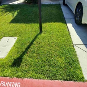 gardening service by Sunnyside Lawn care reviewed on August 21, 2025