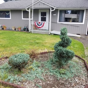 Bush Trimming by Andy's Lawn Services reviewed on August 15, 2025