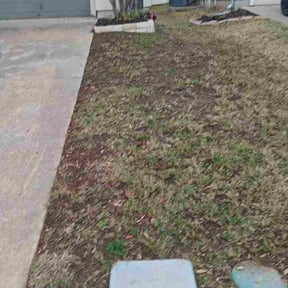 Leaf Removal by Green Visions reviewed on August 17, 2026