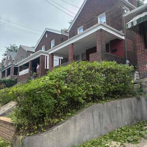 Bush Trimming by Yard Bandit Lawn Services reviewed on March 2, 2024