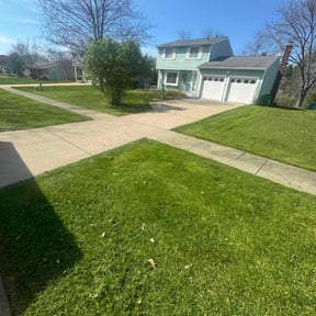 yard care by Tony's lawn services/Plowing reviewed on August 16, 2025