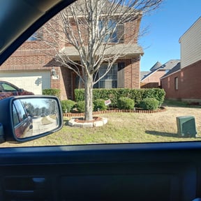 Bush Trimming by Elegant yard services reviewed on August 17, 2025