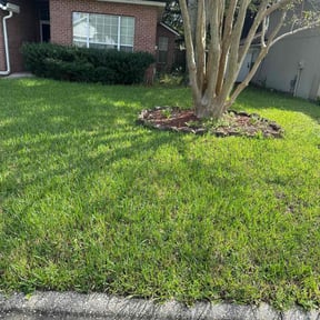 Leaf Removal by Wynstra Lawn Care LLC reviewed on August 18, 2025