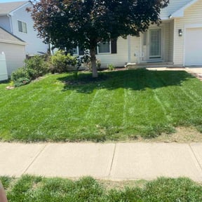 gardening service by Dad and Sons lawn care service reviewed on August 16, 2025