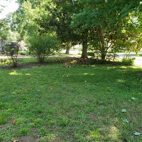 Bush Trimming by C&c properties reviewed on August 21, 2025