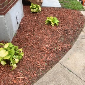 Flower Bed Weeding by Total Landscaping reviewed on August 17, 2025