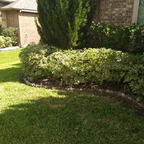 Bush Trimming by Lawn Me Up Landscape reviewed on August 16, 2025