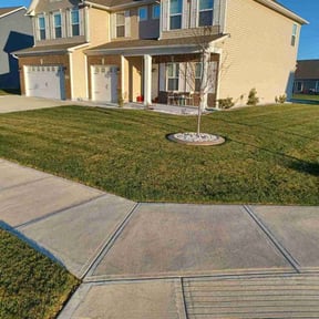 gardening service by DZ Services reviewed on August 19, 2025