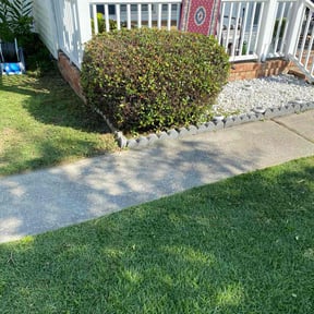 Bush Trimming by Landscape by dan reviewed on August 21, 2025