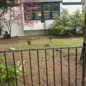 Leaf Removal by Perea landscaping LLC reviewed on August 24, 2026