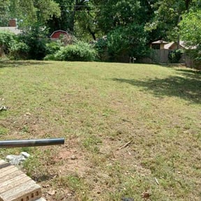 Leaf Removal by Daves Lawn Care reviewed on September 13, 2025