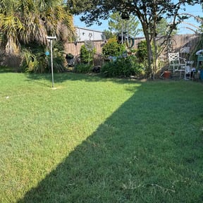 yard maintenance by BT Home Services reviewed on August 19, 2025