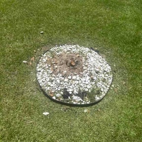 Flower Bed Weeding by Prime time stripping solutions reviewed on July 5, 2026