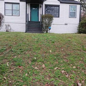 Bush Trimming by Lawn for life reviewed on August 17, 2025