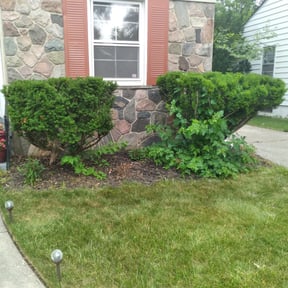 Bush Trimming by Jim&#039;s Lawn Service reviewed on August 19, 2025